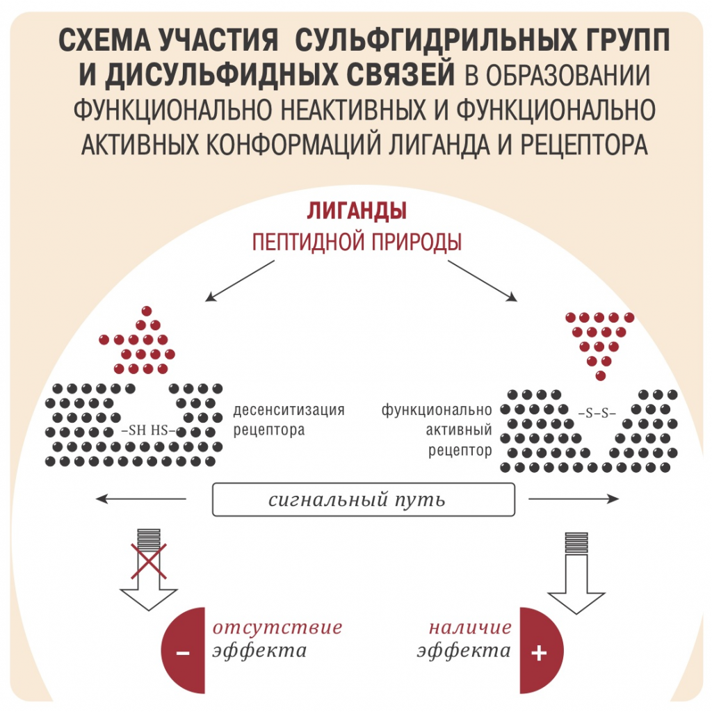 загруженное (13).png